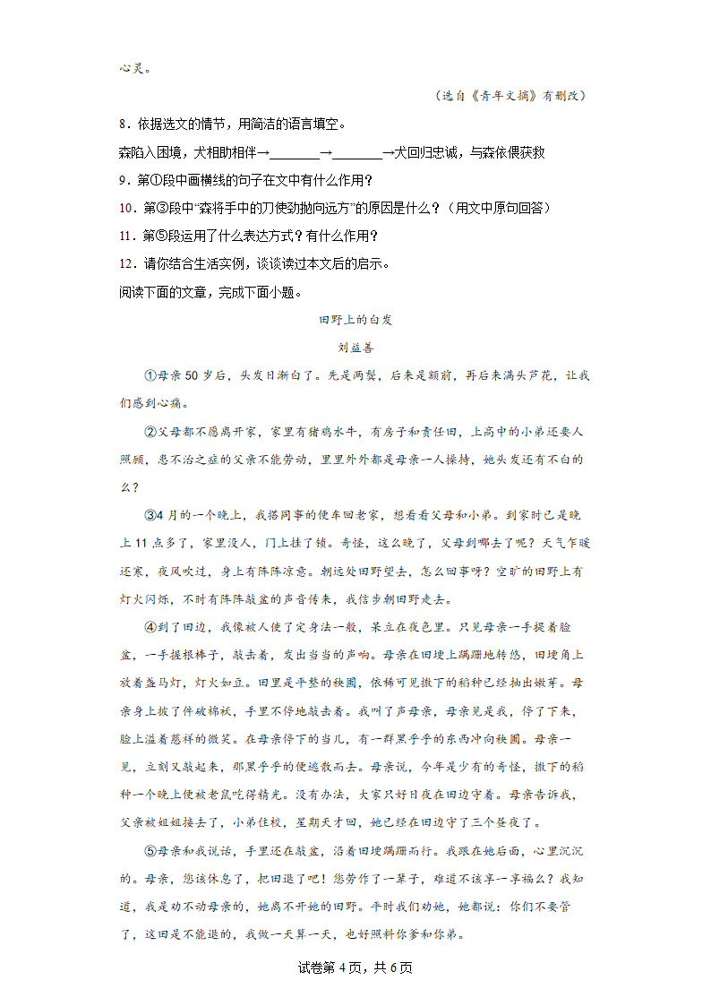 部编版语文七年级下册第六单元试题   单元基础练（含答案）.doc第4页