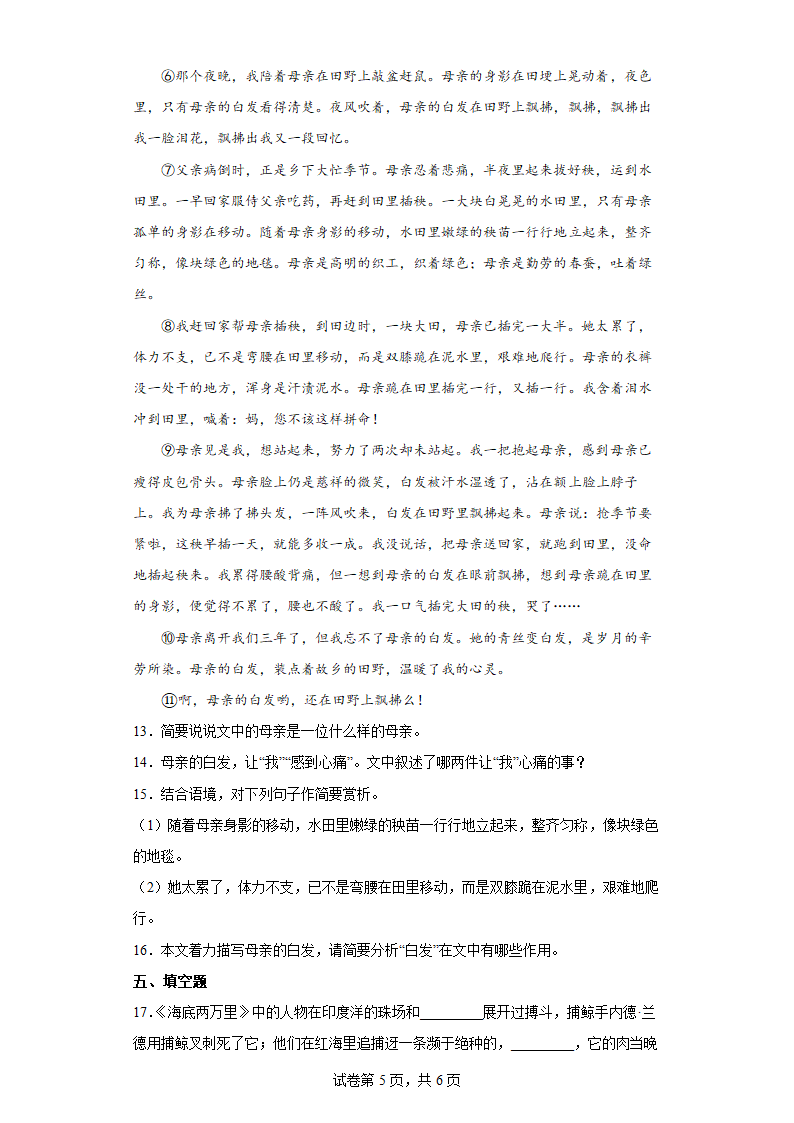 部编版语文七年级下册第六单元试题   单元基础练（含答案）.doc第5页