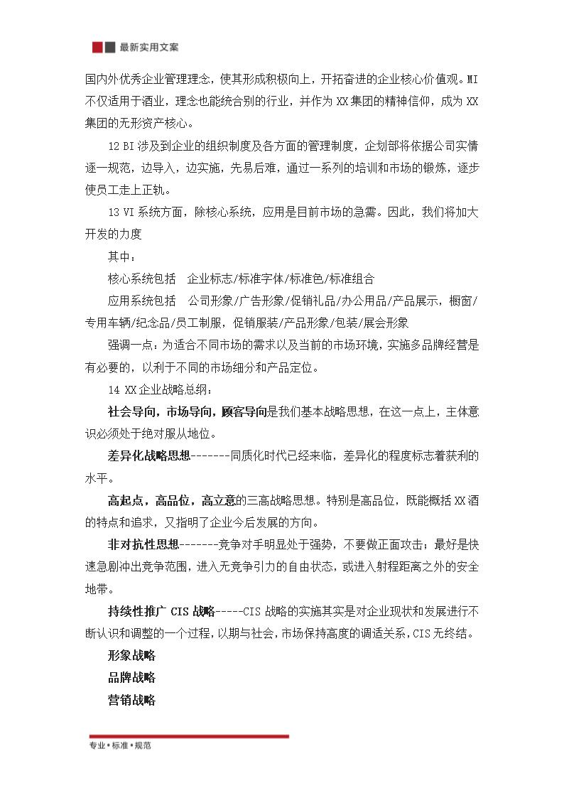 XX集团股份有限公司CIS导入案例（实用文案）.doc第4页