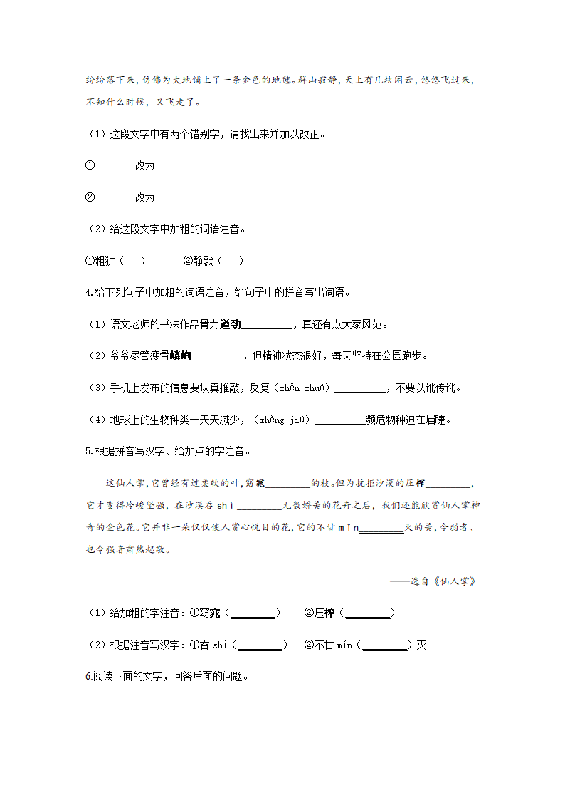 2021年中考语文基础知识分类专练 专题三：字词综合含答案.doc第2页