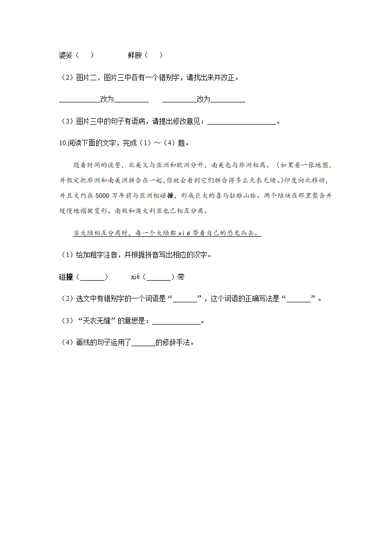 2021年中考语文基础知识分类专练 专题三：字词综合含答案.doc第5页