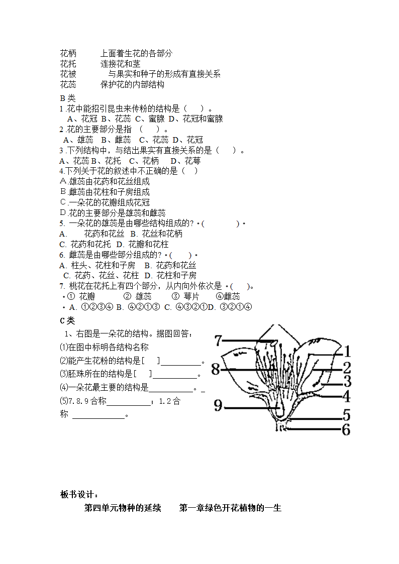 济南版生物八年级上册 《花的结构和类型》 教案.doc第7页