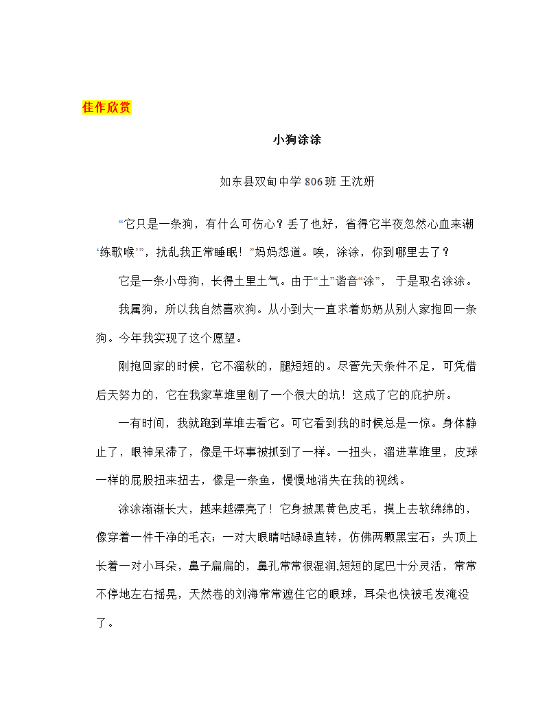 2023年中考语文作文专项突破：如何使文章富有幽默感（学案）.doc第10页