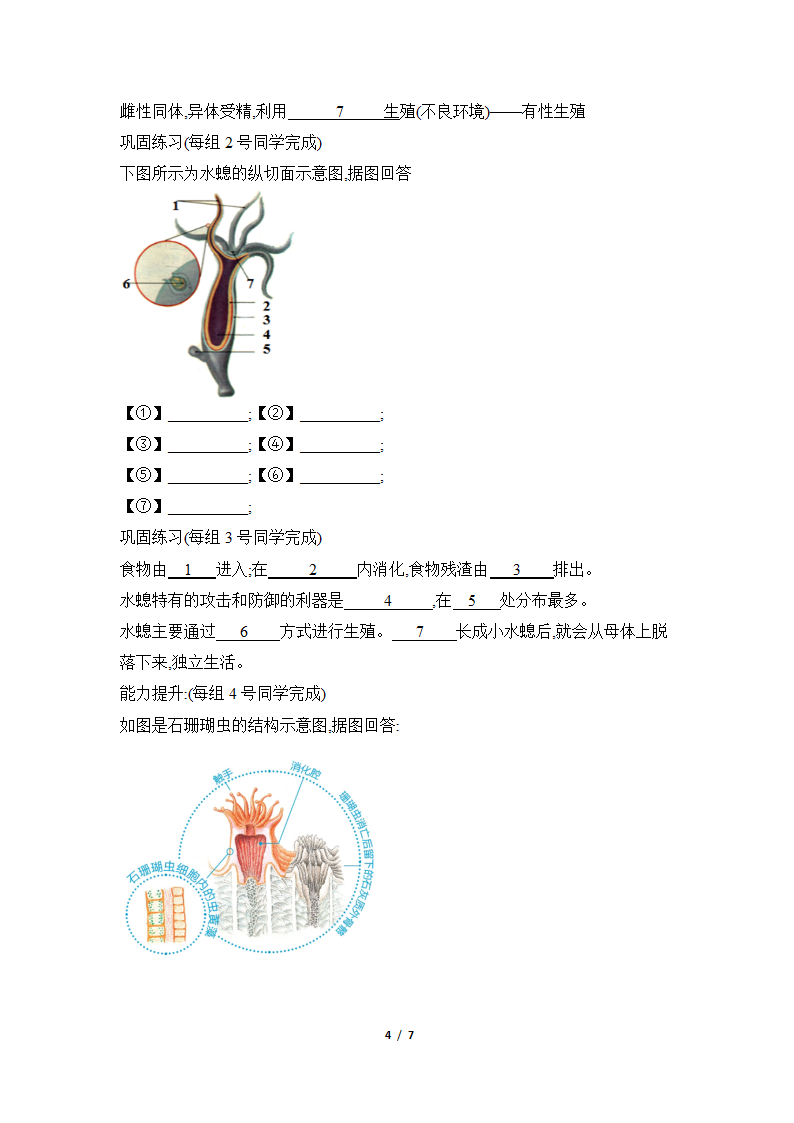 人教版初中生物八年级上册《腔肠动物》名师教案.doc第4页