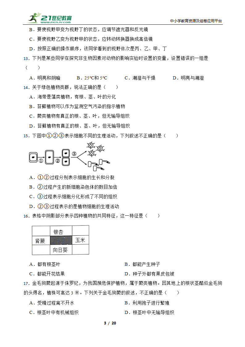 人教版生物七年级上册期末模拟试卷（二）（含解析）.doc第3页