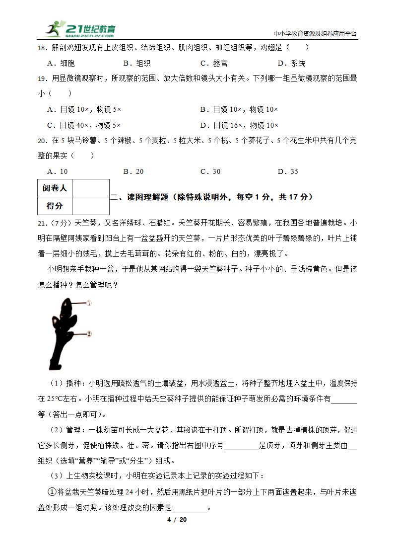 人教版生物七年级上册期末模拟试卷（二）（含解析）.doc第4页