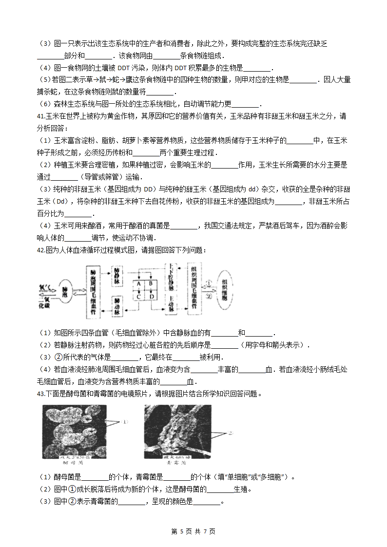 2023年初中学业水平考试生物练习题（五）（含答案）.doc第5页