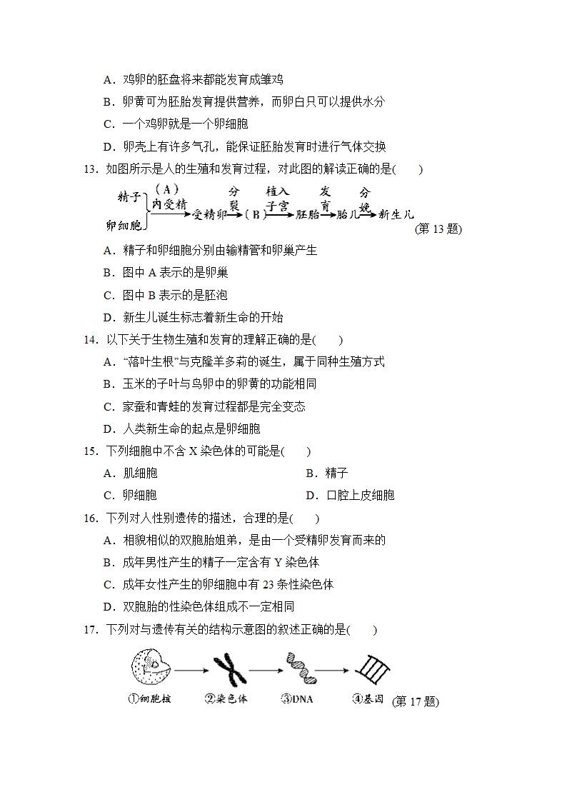 2023年中考生物一轮复习测试卷三（含答案）.doc第3页