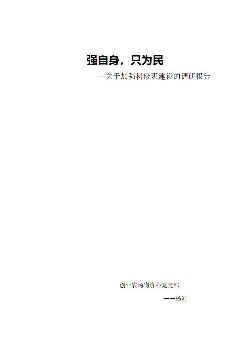 党政建设调研报告第1页