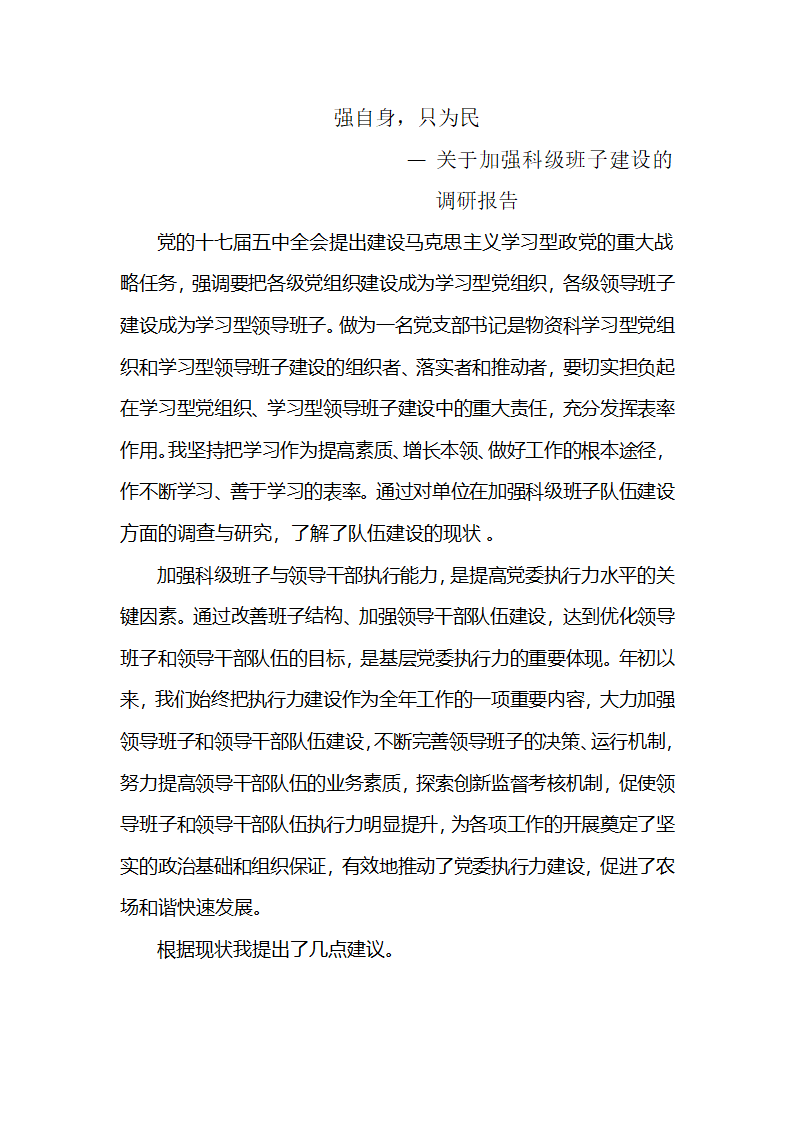 党政建设调研报告第2页