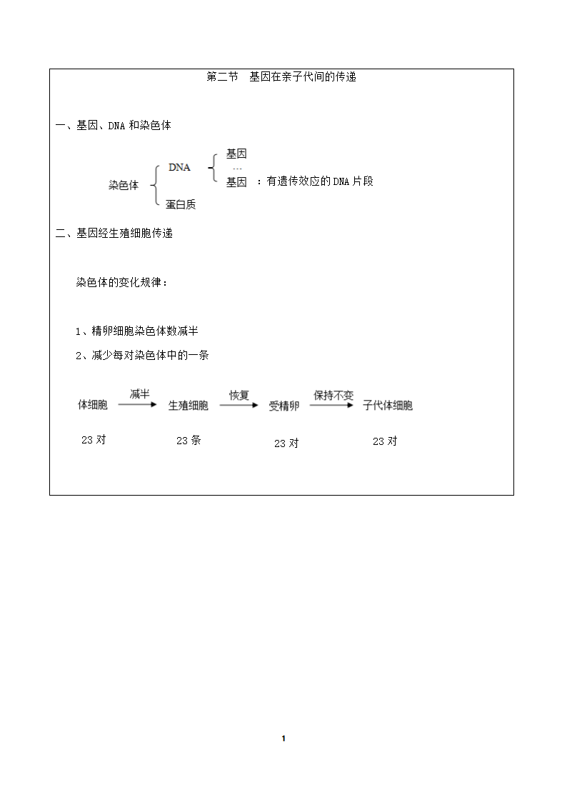 人教版八年级生物下册7.2.2 基因在亲子代间的传递  教学设计.doc第11页