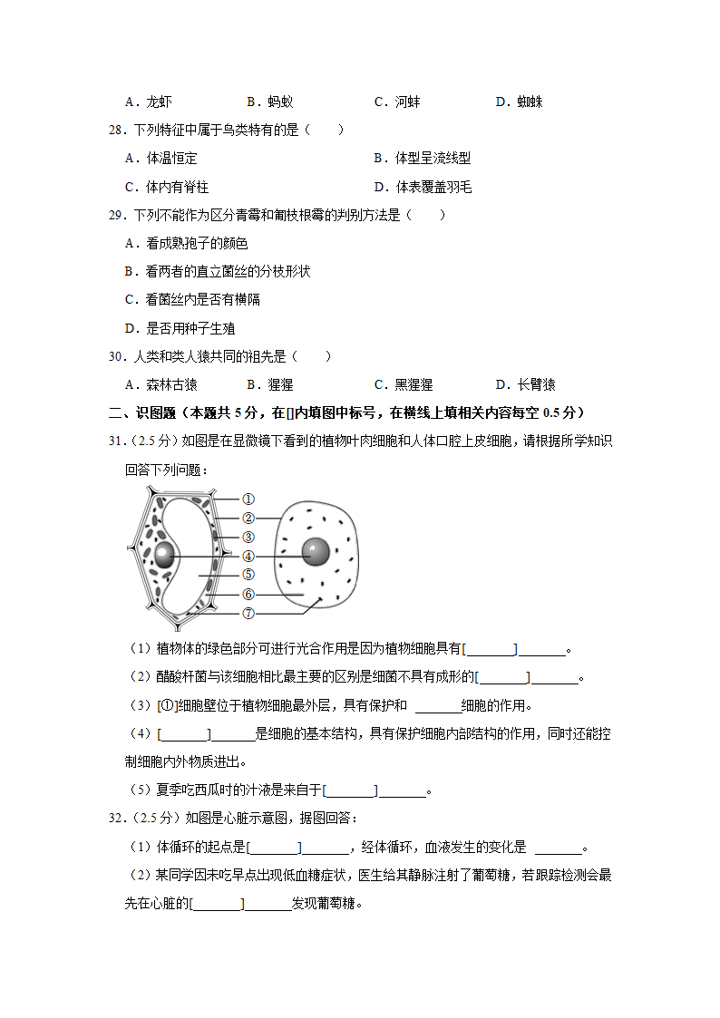 宁夏石嘴山三中南校区2022年中考生物模拟试卷(解析版).doc第4页