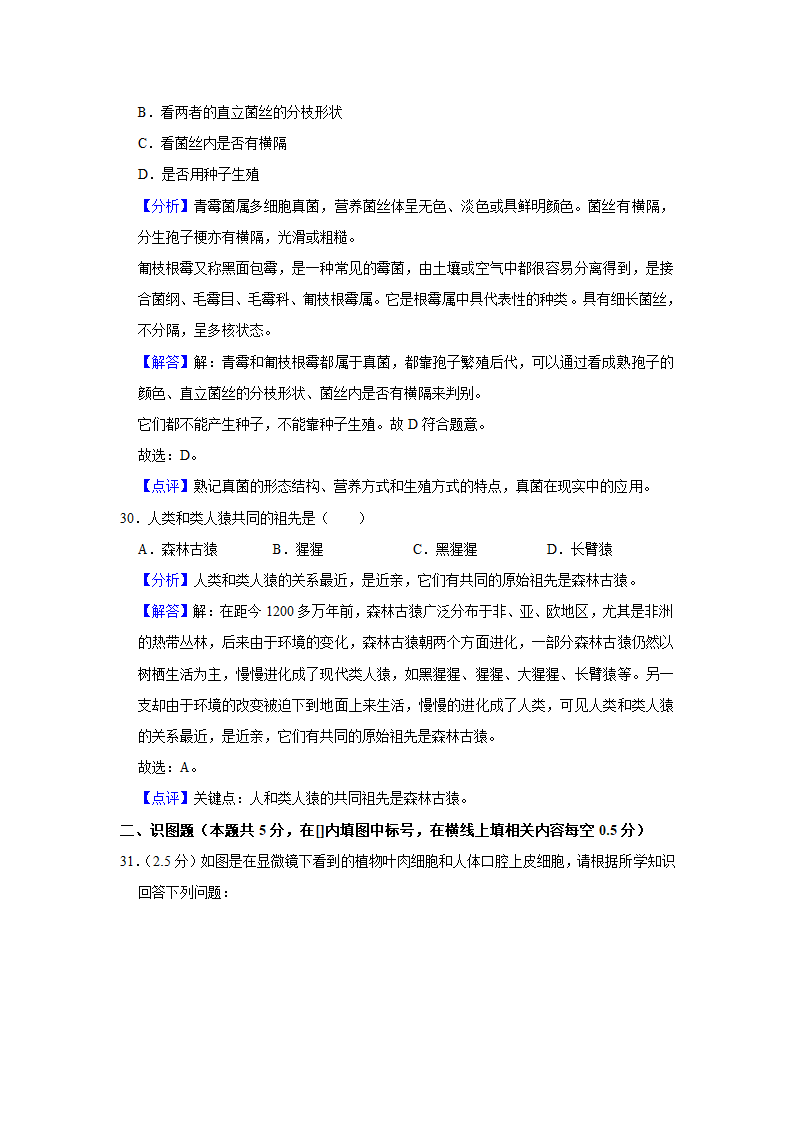 宁夏石嘴山三中南校区2022年中考生物模拟试卷(解析版).doc第19页