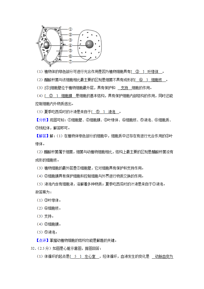 宁夏石嘴山三中南校区2022年中考生物模拟试卷(解析版).doc第20页