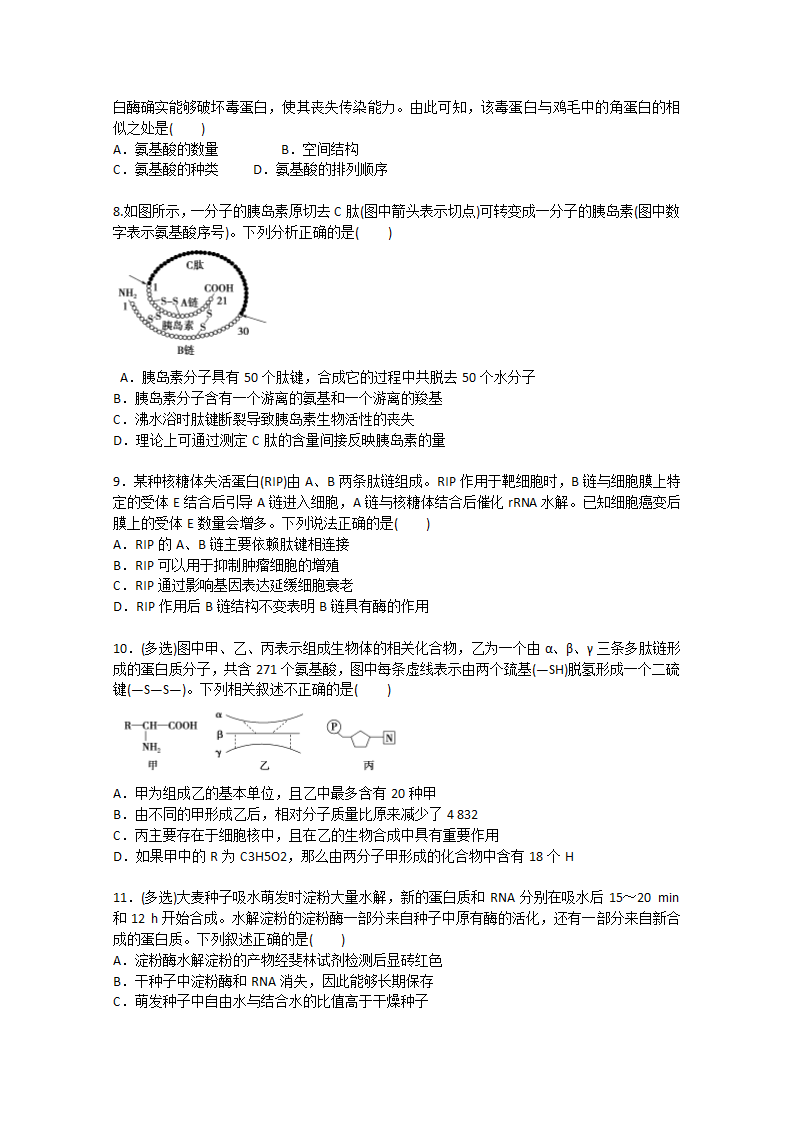 2022届高考生物一轮复习：蛋白质和核酸含解析.doc第2页