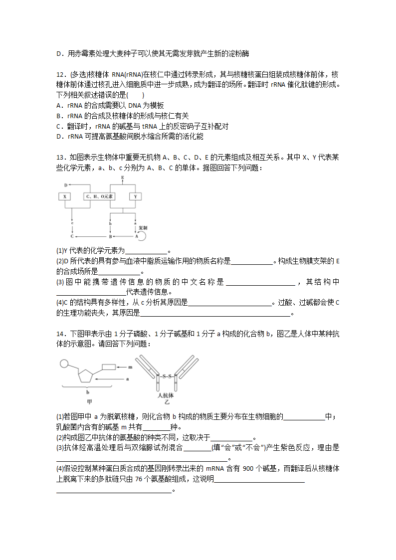 2022届高考生物一轮复习：蛋白质和核酸含解析.doc第3页