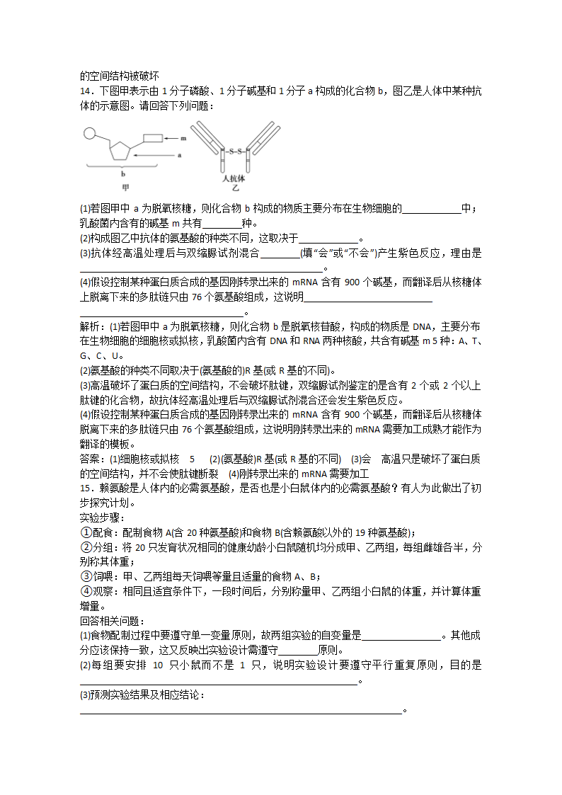 2022届高考生物一轮复习：蛋白质和核酸含解析.doc第9页