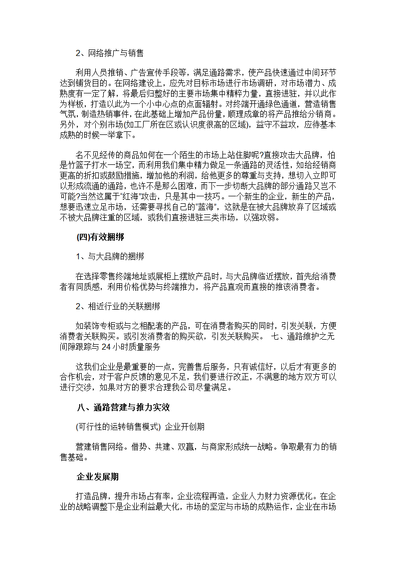 产品推广策划书.docx第4页