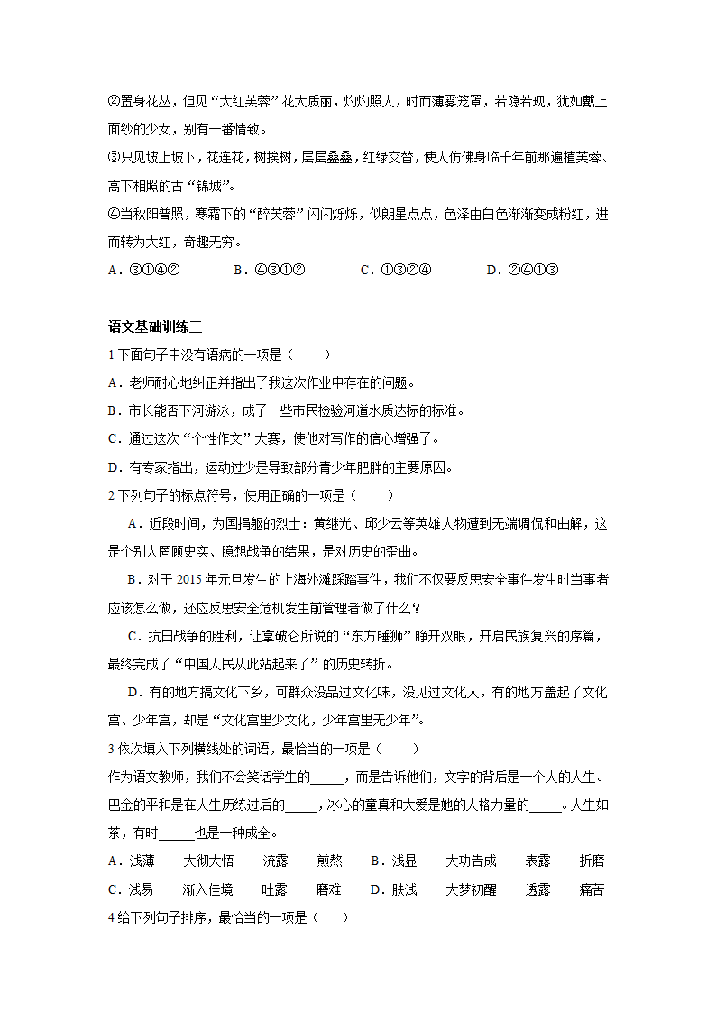 2022年中考语文基础训练20套（病句标点成语排序）无答案.doc第3页