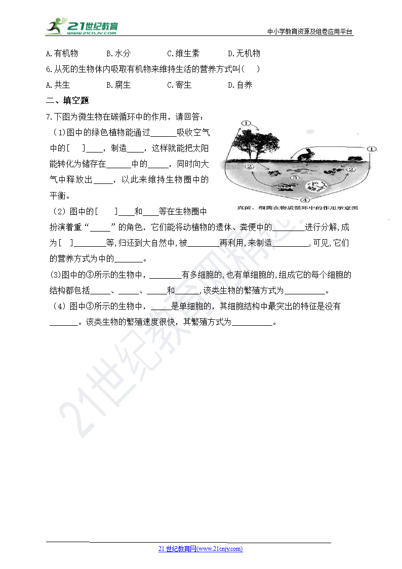 2.3.4微生物在生物圈中的作用同步练习（含答案）.doc第2页