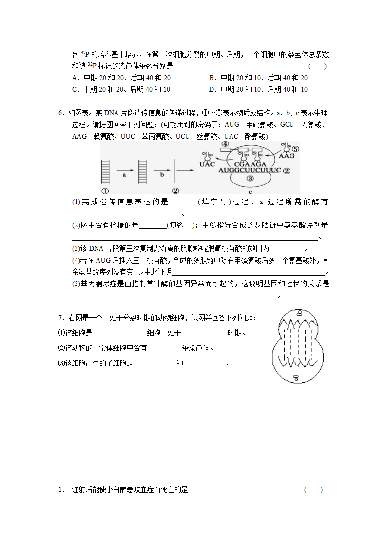 湖南省怀化市芷江一中2014届高三生物复习卷4.doc第4页