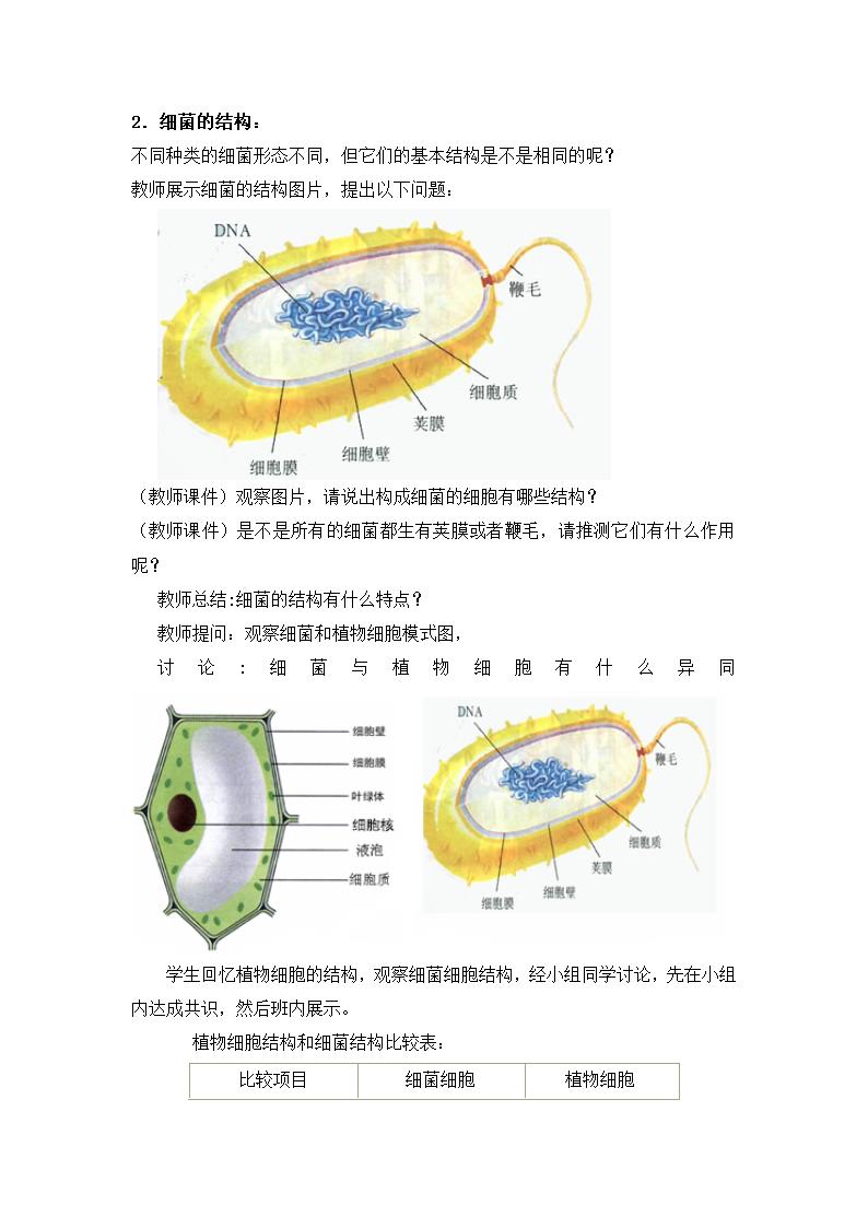 人教版八年级生物上册第五单元第四章第二节细菌教案.doc第4页