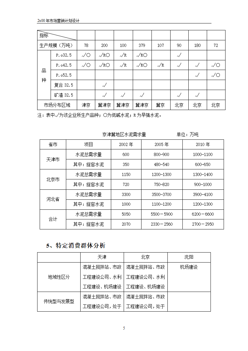 市场营销计划（工程）设计-范例.doc第5页