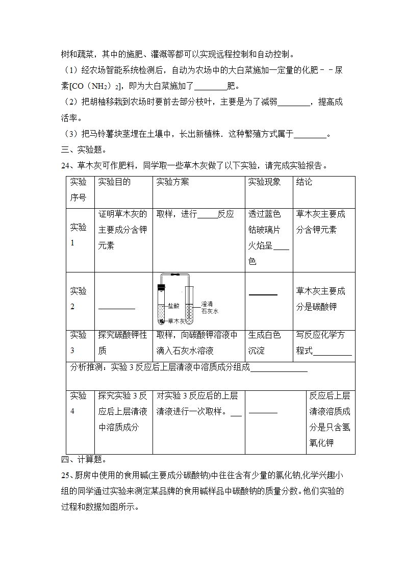 2023年人教版化学中考一轮训练盐 化肥（含答案）.doc第5页