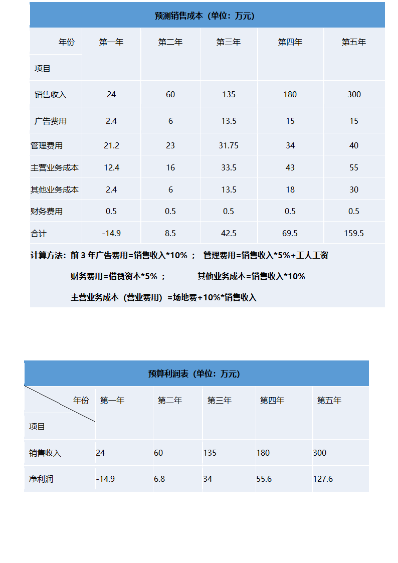 青年运动体育品牌创业计划书模板.docx第11页