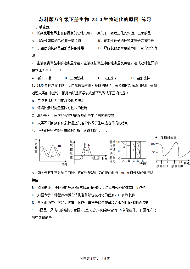 苏科版八年级下册生物 23.3生物进化的原因 练习（word版含答案）.doc第1页