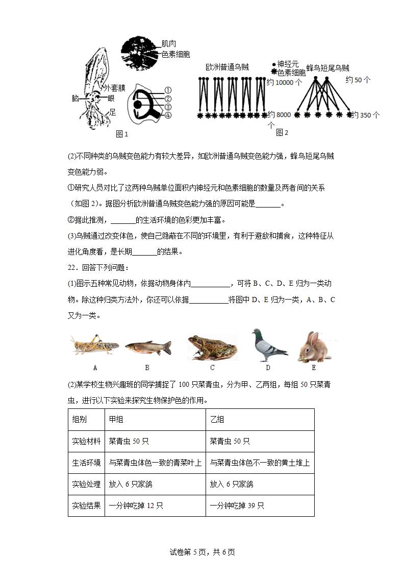 苏科版八年级下册生物 23.3生物进化的原因 练习（word版含答案）.doc第5页