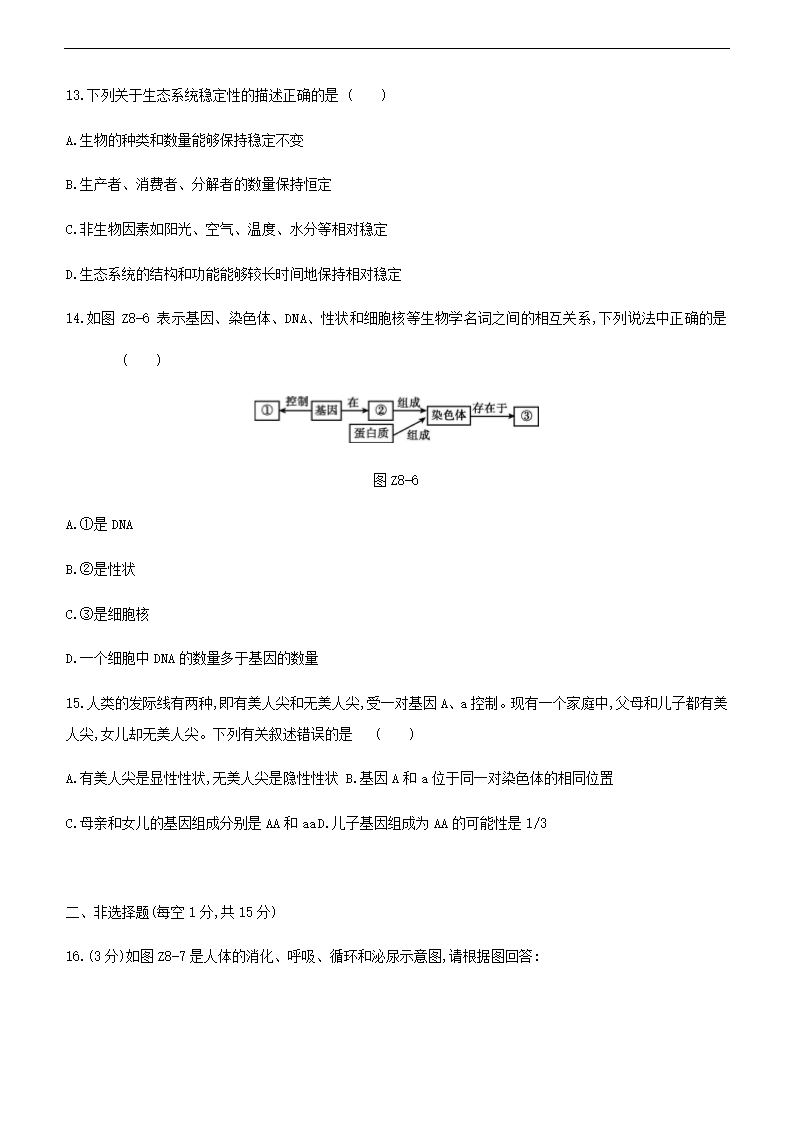 2021年江苏中考生物总复习综合训练(八) （word版 含答案）.doc第4页