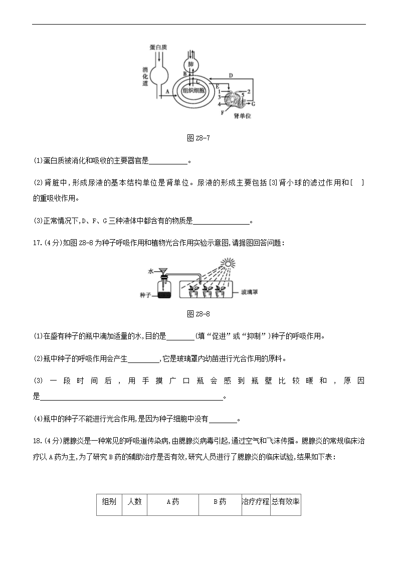 2021年江苏中考生物总复习综合训练(八) （word版 含答案）.doc第5页