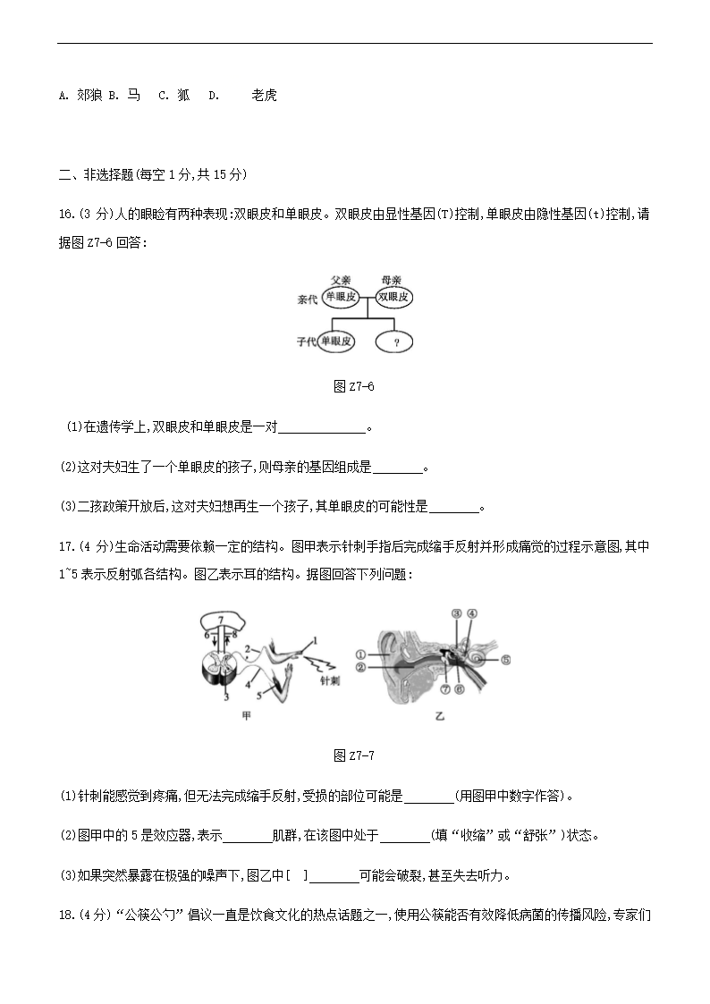 2021年江苏中考生物总复习综合训练(七) （word版 含答案）.doc第4页