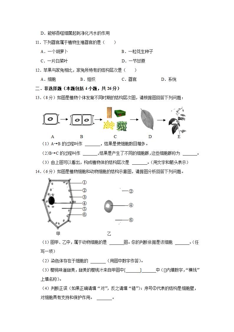 苏教版生物七年级上册期中复习试题（含答案解析版）.doc第2页