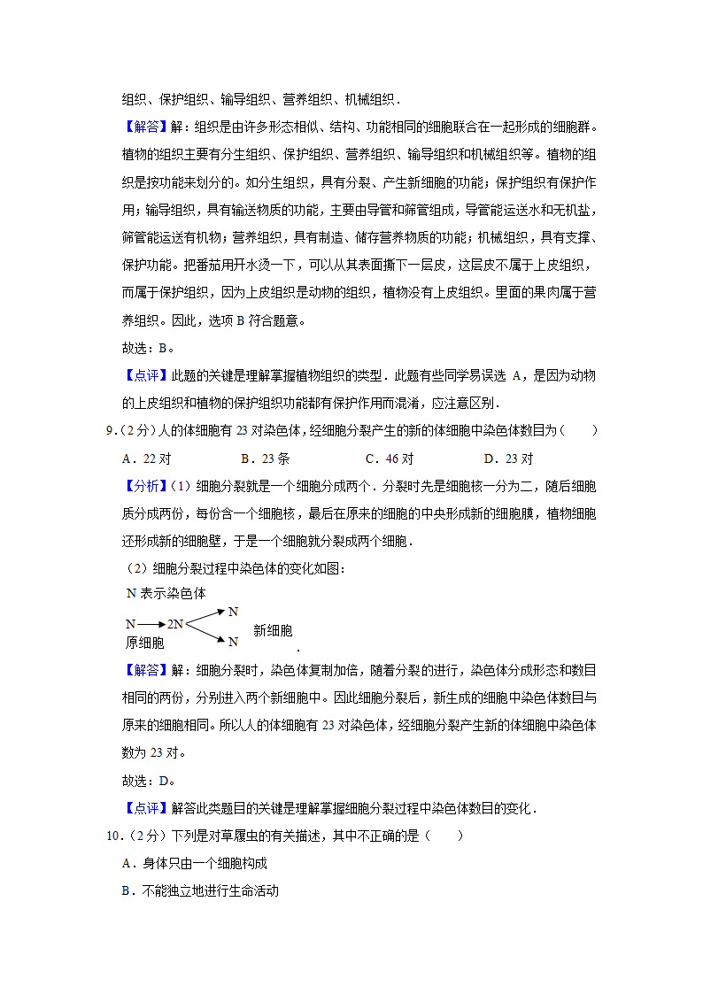 苏教版生物七年级上册期中复习试题（含答案解析版）.doc第8页