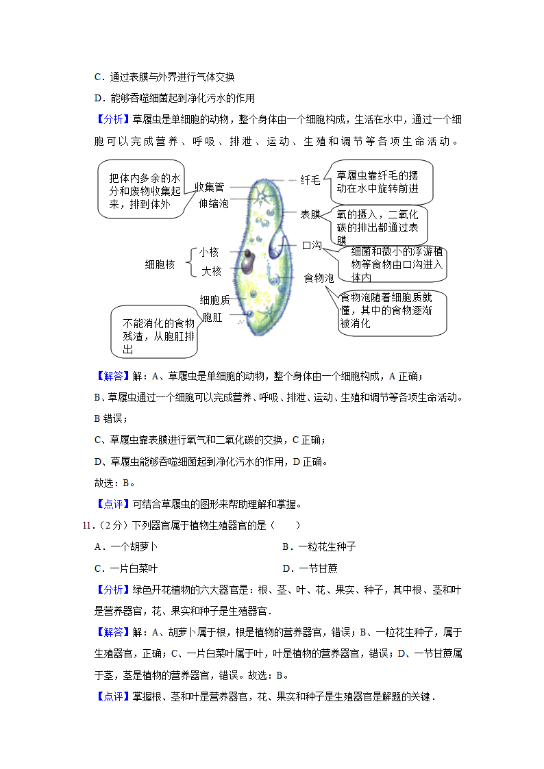 苏教版生物七年级上册期中复习试题（含答案解析版）.doc第9页