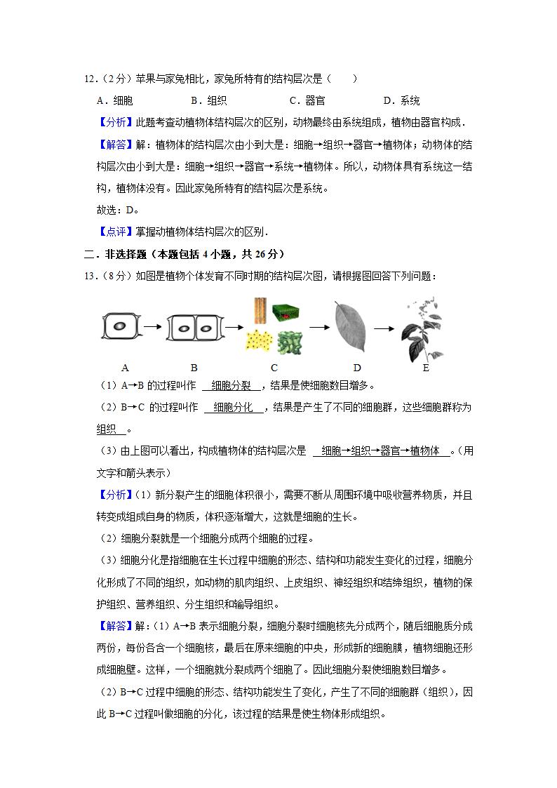 苏教版生物七年级上册期中复习试题（含答案解析版）.doc第10页