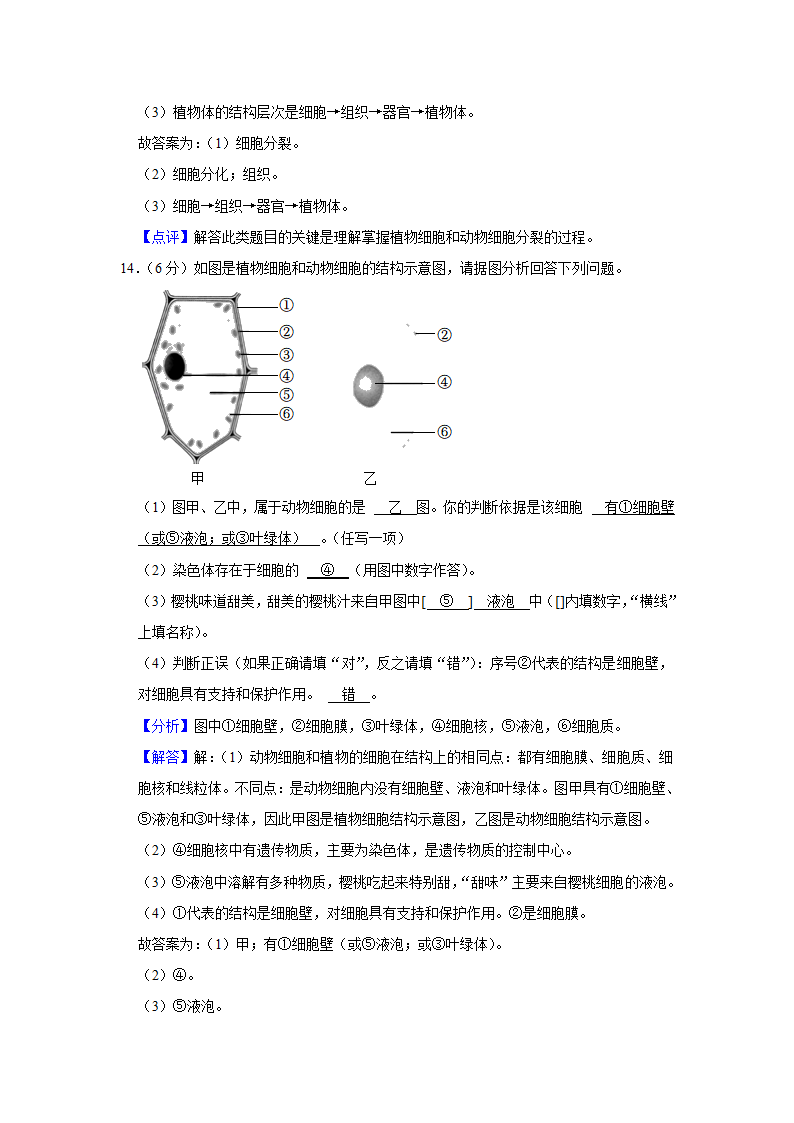 苏教版生物七年级上册期中复习试题（含答案解析版）.doc第11页