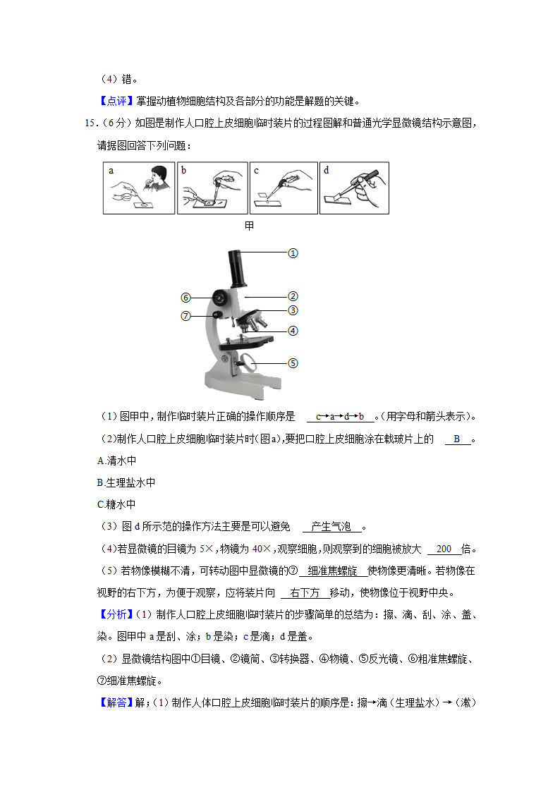 苏教版生物七年级上册期中复习试题（含答案解析版）.doc第12页