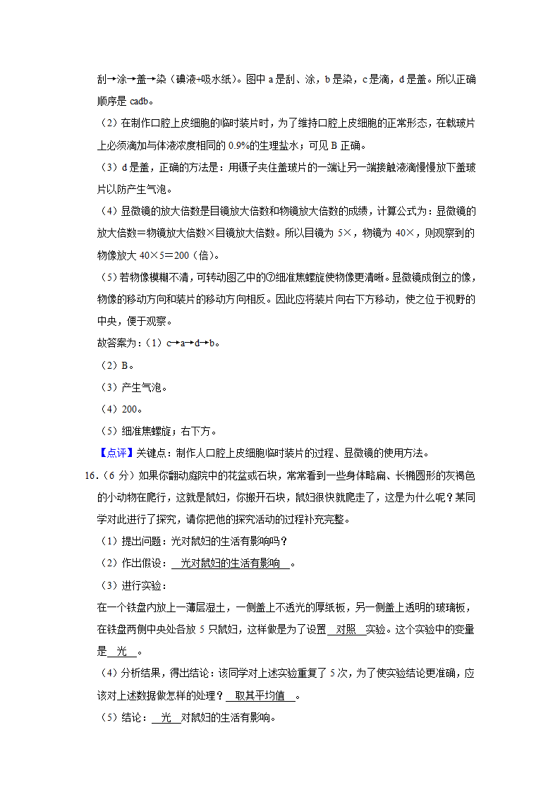 苏教版生物七年级上册期中复习试题（含答案解析版）.doc第13页