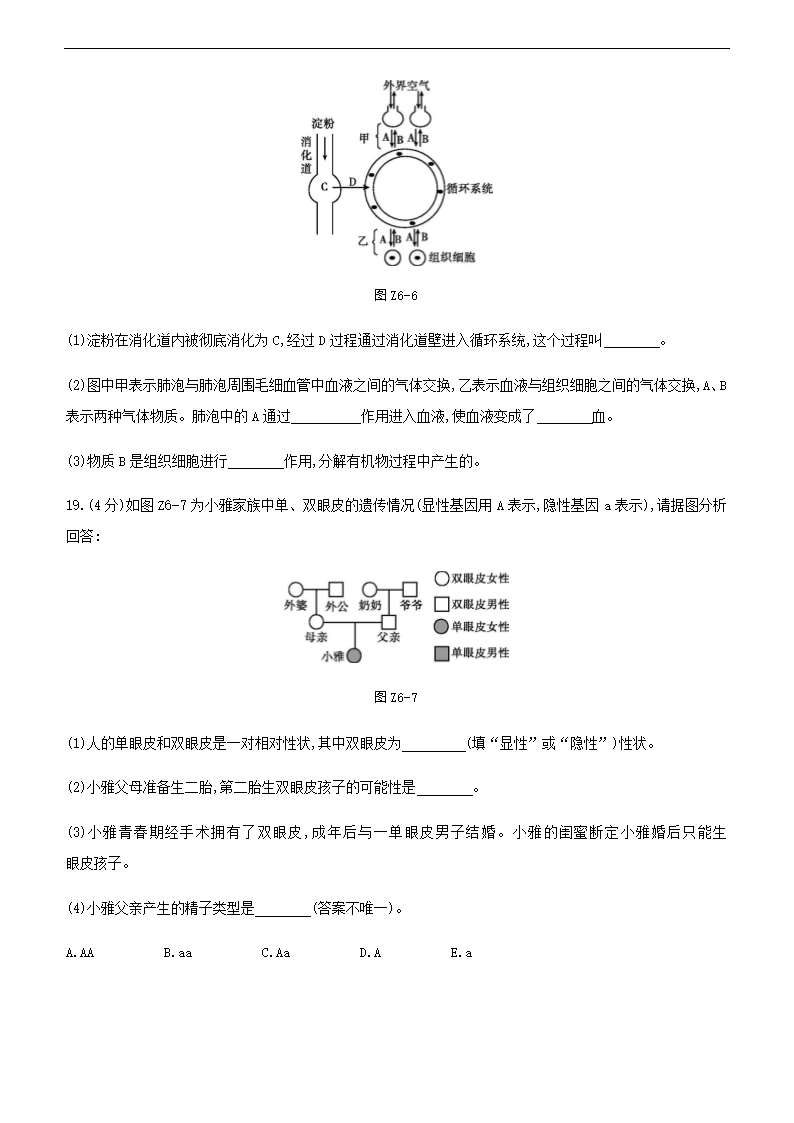 2021年江苏中考生物总复习综合训练(六) （word版 含答案）.doc第5页