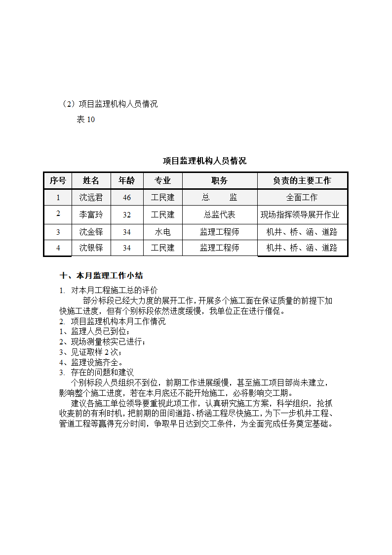 土地开发复垦项目监理月报.doc第11页