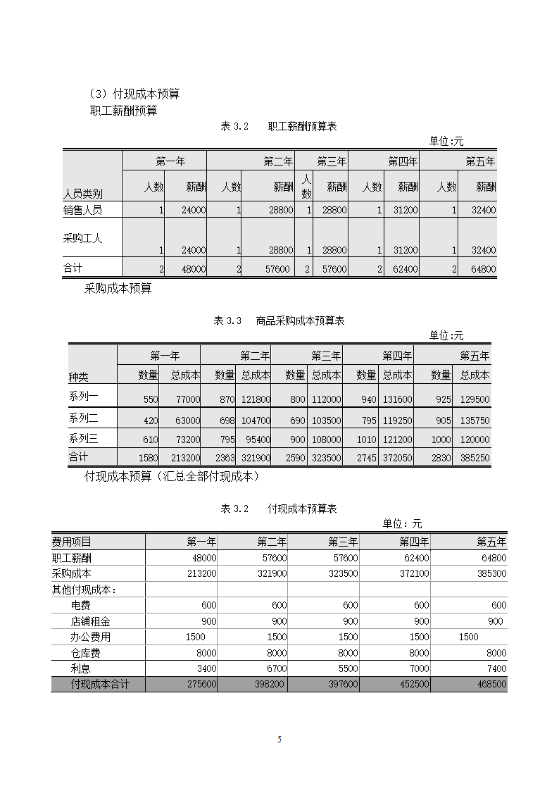 财务计划书第5页