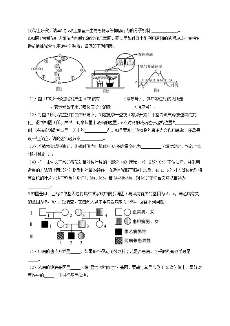 2022届高考生物仿真冲刺卷（全国卷）（5）（Word版含解析）.doc第3页