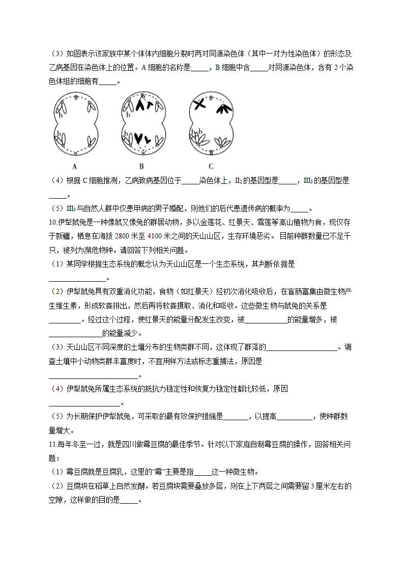 2022届高考生物仿真冲刺卷（全国卷）（5）（Word版含解析）.doc第4页