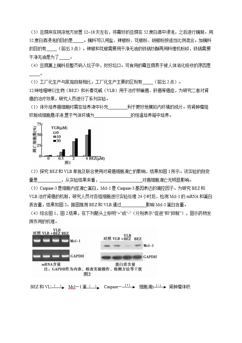 2022届高考生物仿真冲刺卷（全国卷）（5）（Word版含解析）.doc第5页