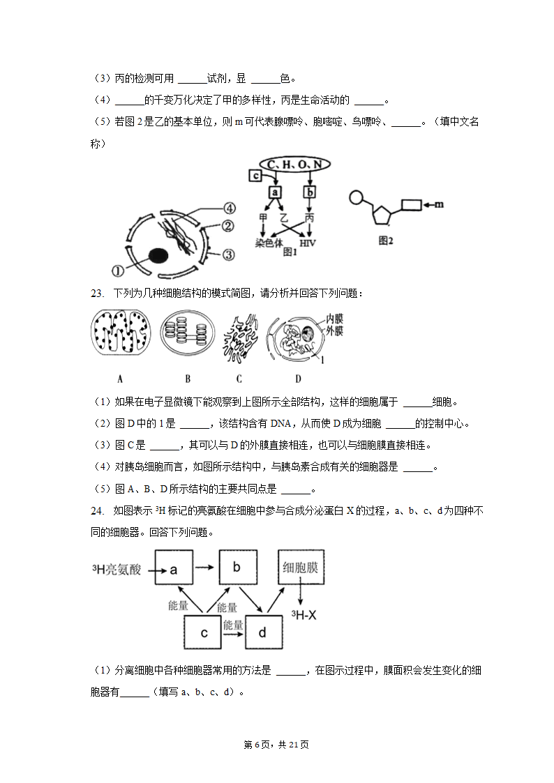 2022-2023学年辽宁省鞍山市高一（上）期中生物试卷（A卷）（含解析）.doc第6页