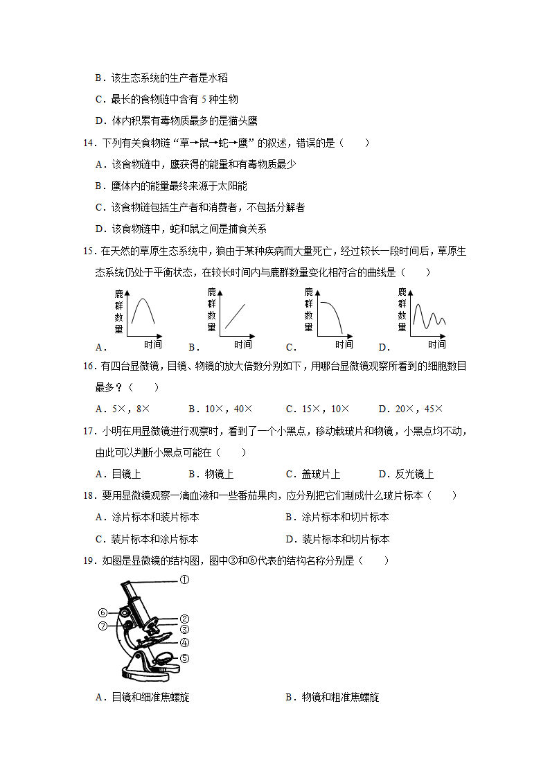 人教版生物七年级上册期中复习卷(word版  含答案）.doc第3页