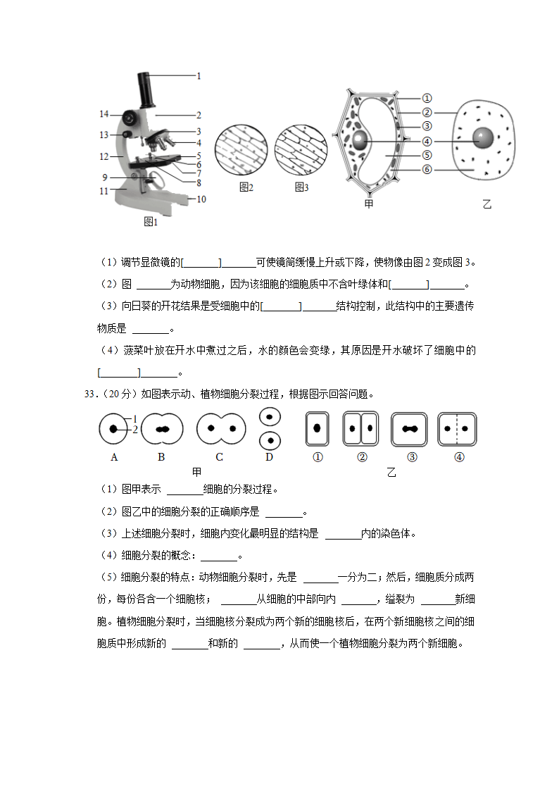 人教版生物七年级上册期中复习卷(word版  含答案）.doc第6页